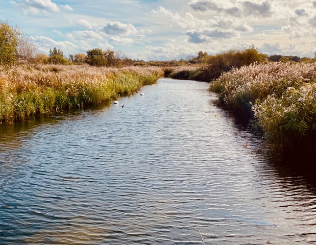 Wetland photo by Geraint Davies